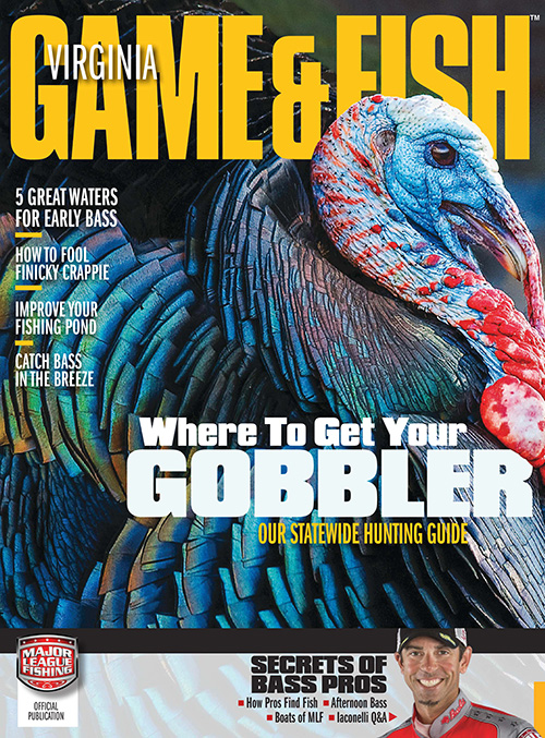 Virginia Game & Fish Magazine Subscription Discounts & Deals